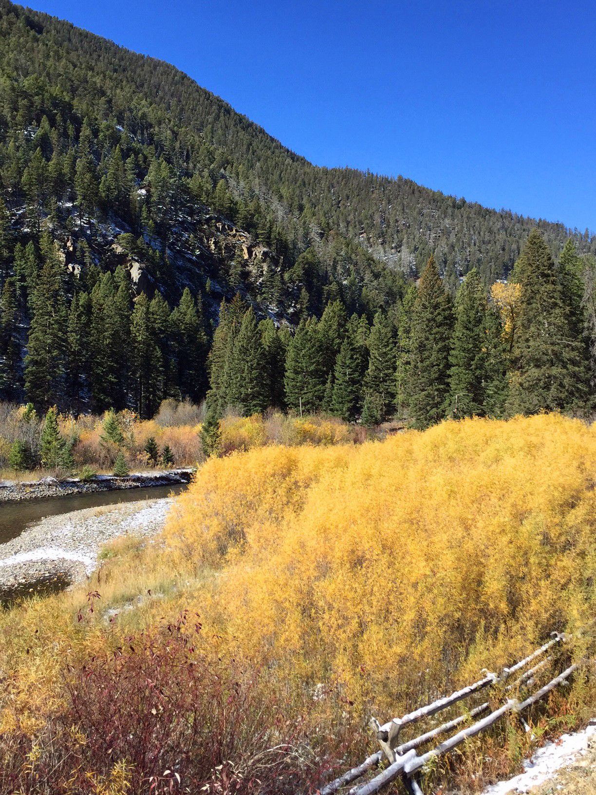 Fall colors